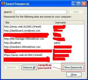 saved password2 300x272 do you want firefox to remember this password? (2)